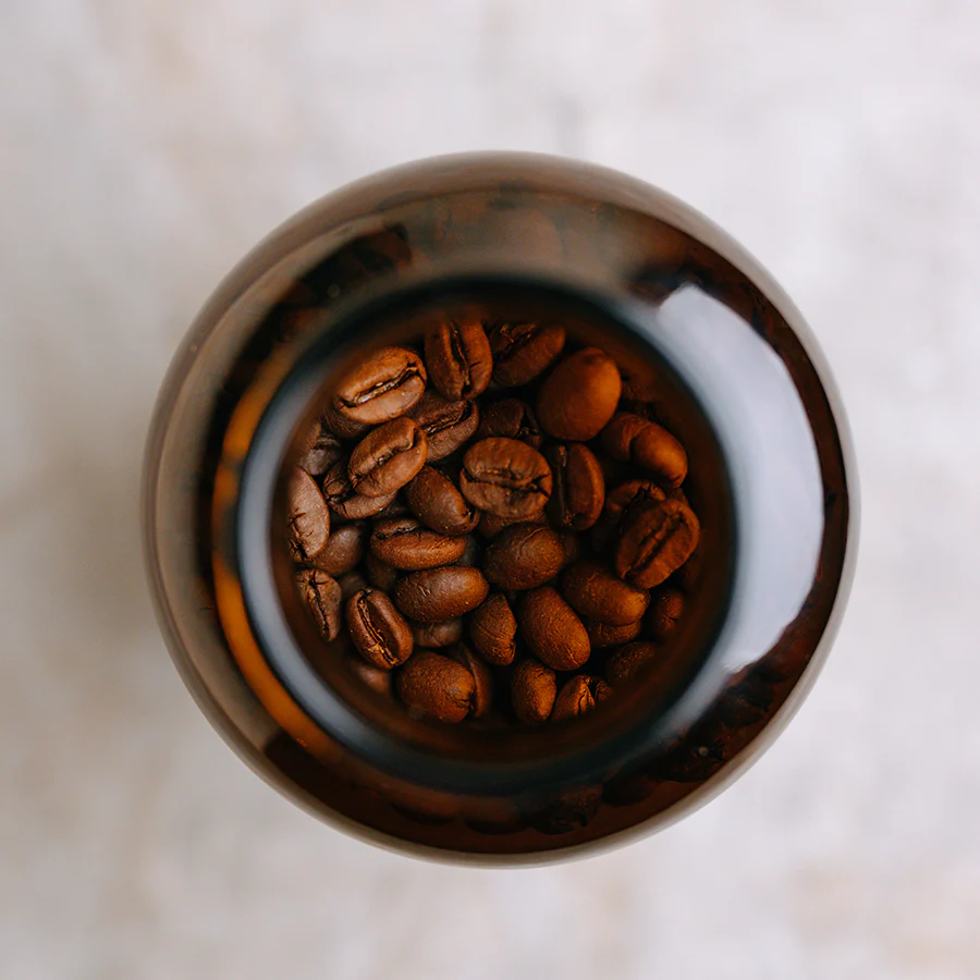 Longevity Jar (Jar only, No Beans) - Image 3